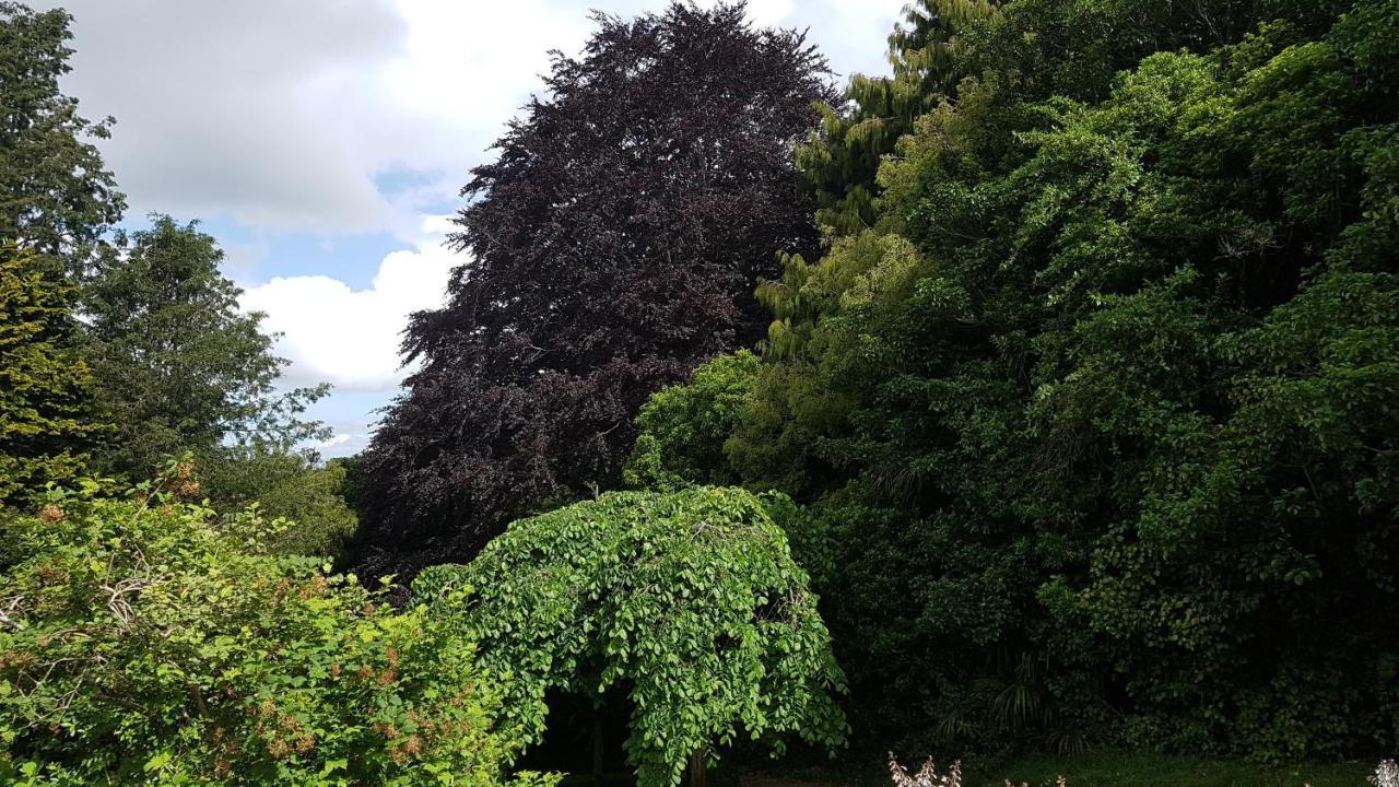 Kai Iwi Bushy Park Historical Homestead מראה חיצוני תמונה